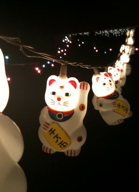 Maneki Neko lights. How adorable! Lucky Cat Aesthetic, Japon Aesthetic, Money Cat, Japanese Bobtail, Fortune Cat, Japanese Cat, Ragdoll Kitten, Sleepy Cat, Maneki Neko