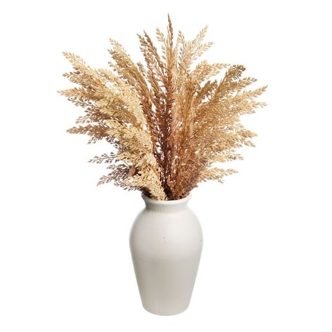 Honeybloom Brown Pampas Grass in Pot, 19" Brown Pampas, Tropical Floral Arrangements, Dried Pampas, Calming Atmosphere, Affordable Decor, Dried Floral, Fireplace Mantel, Plastic Pots, Fireplace Decor