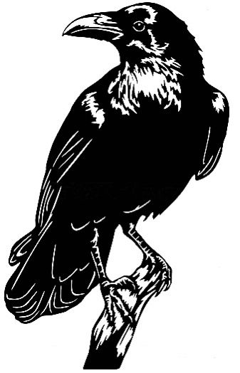 Raven Silouhette, Vintage Macabre, Raven Clip Art, Raven Silhouette Stencil, Crow Sillouhette, Crow Outline Drawing, Crow Drawings Simple, Crow Black And White, Raven Template