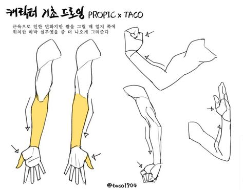 Anatomy Reference Drawing, Form Reference, Taco Drawing, Arm Anatomy, Arm Drawing, Drawings Tutorials, Anatomy Tutorial, Human Anatomy Drawing, Hand Drawing Reference