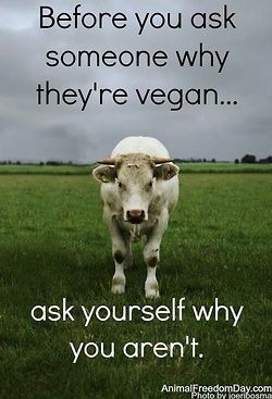 veganize this. Reasons To Go Vegan, Vegan Facts, Vegan Memes, Animal Activism, Vegan Quotes, Why Vegan, Animal Liberation, Vegan Inspiration, Vegan Living