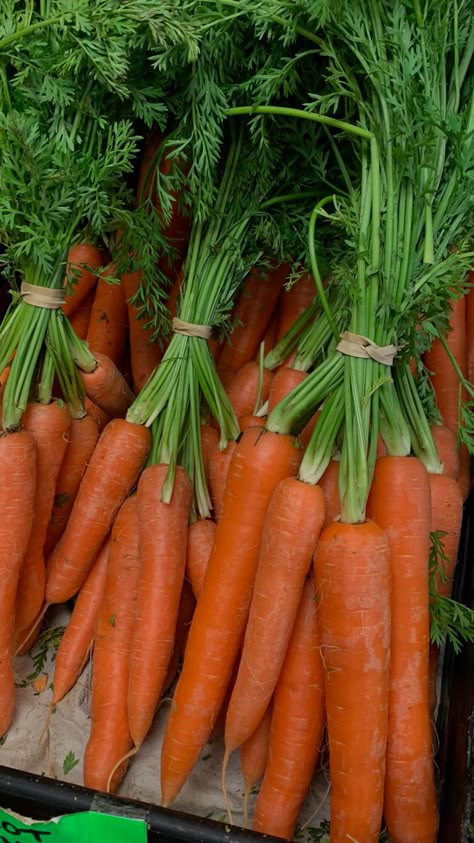 Muffin Carrot, Carrots Photography, Cake Recipes Carrot, Carrots Soup, Muffins Carrot, Recipes Carrot Cake, Recipes Carrots, Carrots Recipes, Ovulation Phase