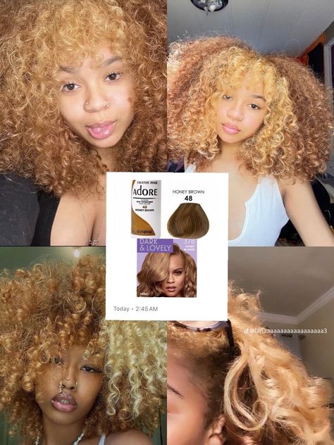 Dye Ginger Hair, Wolf Cut Curtain Bangs, Hair Dye Ginger, Honey Brown Hair Dye, 1c Hair, Hair Graffiti, Adore Hair Dye, Dyed Curly Hair, Cute Hair Colors