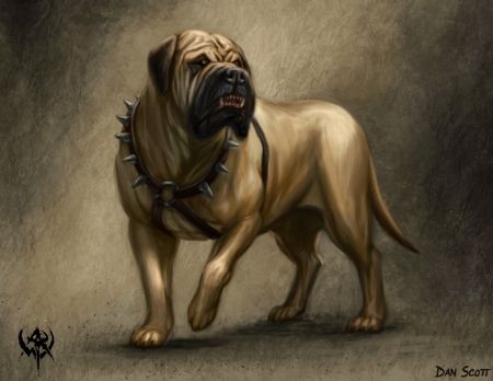 Medieval Character Design, Tibetan Mastiff Puppy, Tibetan Mastiff Dog, English Mastiff Dog, Hanuman Tattoo, Apocalypse Character, Dog Breeds Pictures, Warhammer Fantasy Roleplay, Mastiff Breeds