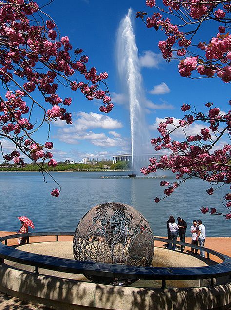 Lake Burley Griffin looking towards parliament house, Canberra, Australia Queensland Australia Aesthetic, Australia Scenery, Canberra Aesthetic, Canberra Australia Aesthetic, Australia Aesthetic Brisbane, Australia Canberra, Australia Aesthetic City, Cairns Queensland, Canberra Australia