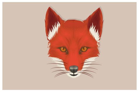 Hand drawn fox head in front view Fox Front View Drawing, Fox Front View, Fox Head Drawing, Drawing With Color, Hand Drawn Fox, Fox Drawing, Head Drawing, Draw Animals, Drawing Heads