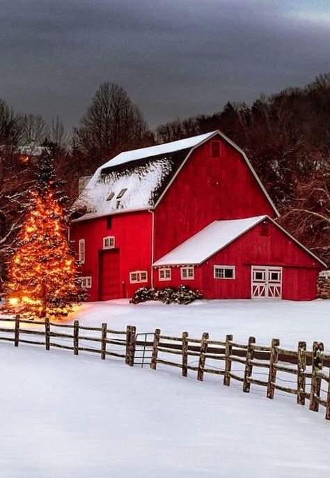 Horse Magazine, Barn Pictures, Country Barns, Barn Painting, Rural Scenes, With Christmas Tree, Farm Barn, Red Barns, Old Barns