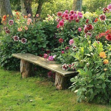 Prayer Garden, Hosta Gardens, Rustic Backyard, Flower Garden Design, Have Inspiration, Beautiful Flowers Garden, Garden Seating, Gorgeous Gardens, Garden Cottage