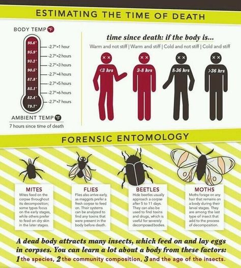 Forensic Criminology, Forensic Entomology, Forensic Nursing, Forensics Science, Forensic Pathologist, Mortuary Science, Forensic Pathology, Computer Forensics, Forensic Anthropology