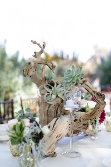 Driftwood, succulent, and air plant centerpiece  |  Melissa McClure Photography Driftwood Wedding Centerpieces, Air Plants Wedding, Driftwood Wedding, Succulent Wedding Centerpieces, Plant Centerpieces, Driftwood Centerpiece, Succulent Planter Diy, Beach Wedding Centerpieces, Succulent Centerpieces