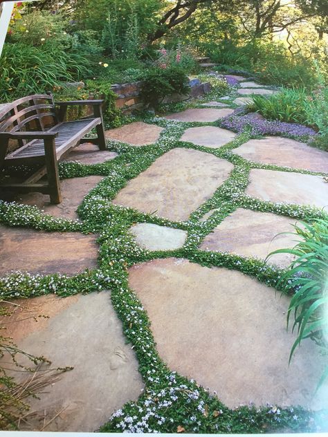 Flagstone Patio, Front Yard Garden Design, Garden Walkway, Stone Path, Garden Pathway, Patio Stones, Garden Cottage, Garden Stones, Backyard Landscaping Designs