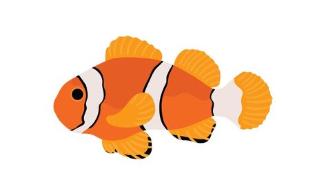 Clown Fish Cartoon, Crying Cartoon, Vector Animation, Drawn Fish, Coral Fish, Fish Icon, Fish Vector, Fish Stock, Animal Icon