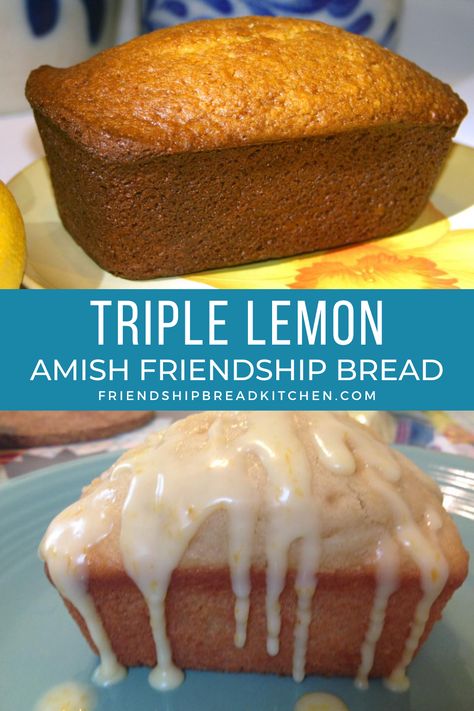 How To Make Amish Friendship Bread Starter, Lemon Friendship Bread, Best Amish Bread Recipe, No Starter Amish Friendship Bread, Lemon Amish Friendship Bread, Amish Friendship Bread Flavors, Friendship Bread Starter Uses, Recipes With Amish Friendship Bread Starter, Amish Friendship Bread Recipes From Starter