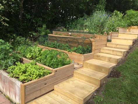 Veggie Garden On Hill, Vegetable Garden Retaining Wall, Garden On Incline, Sloping Garden Border Ideas, Planters On A Slope, Retaining Wall Vegetable Garden, Hillside Chicken Coop, Terraced Garden Beds, Vegetable Garden On A Slope