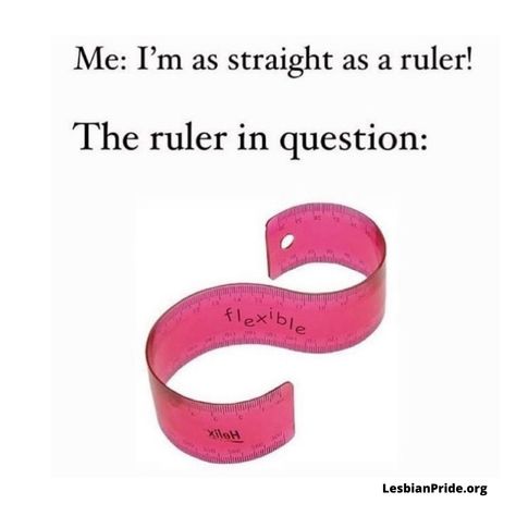 Lgbtq Funny Quotes, Lgbtq Jokes, Bi Humor, Lgbtq Humor, Lgbtq Things, Queer Humor, Anti Lgbt, Gay Meme, Lgbtq Stuff