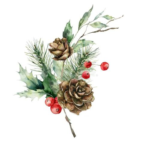 Watercolor Christmas bouquet of branches with leaves, pine cone and red berries. Hand painted holiday composition of royalty free illustration Pine Cone Watercolor, Pine Cone Drawing, Branches With Leaves, Background Birthday, Holly And Berries, Christmas Bouquet, Watercolor Plants, Christmas Bird, Pine Branch