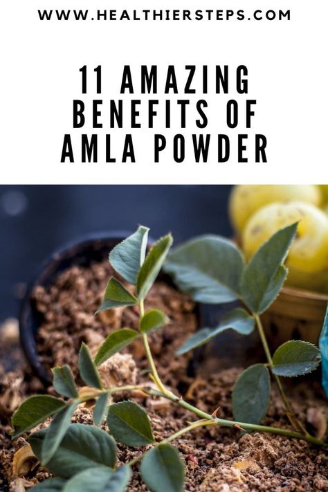 How To Use Amla Powder, Alma Benefits, Alma Powder Benefits, Alma Powder Hair Growth, Amla Powder Benefits, Alma Powder, Amla Powder Hair, Gooseberry Benefits, Amla Benefits