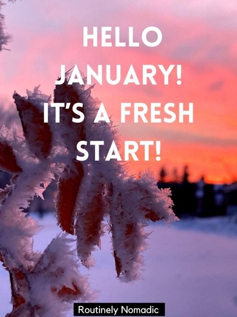 Perfect January Quotes for 2023 to Inspire You in the New Year | Routinely Nomadic January Sayings, Welcome January Quotes, January Captions, Welcome January, Quotes For 2023, Hello January Quotes, January Quotes, Motivational Funny, Hello January