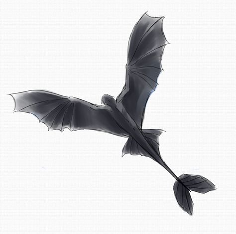 toothless in flight Toothless Dragon Flying, Flying Dragon Drawing, Toothless Flying, Toothless Tattoo, Toothless Drawing, Flying Bird Silhouette, Dragon Silhouette, Httyd Art, Dragon Sketch