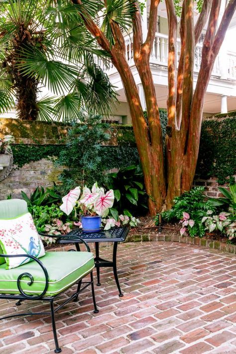 Tour a Fancy Charleston Walled Garden Filled With Color | HGTV Charleston Backyard Landscape, Charleston Courtyards Side Yards, Charleston Courtyard Garden, Charleston Courtyard Ideas, Charleston Gardens Backyards, Charleston Gardens Courtyards, Charleston Courtyards, Southern Garden Landscaping, New Orleans Courtyard Ideas