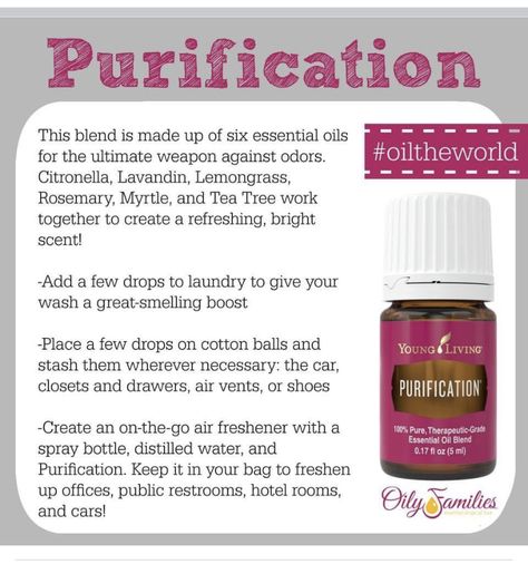 Purification Essential Oil Young Living, Young Living Purification, Purification Oil, Purification Essential Oil, Young Living Oils Recipes, Living Oils Recipes, Essential Oil Combinations, Essential Oils Guide, Essential Oils Cleaning