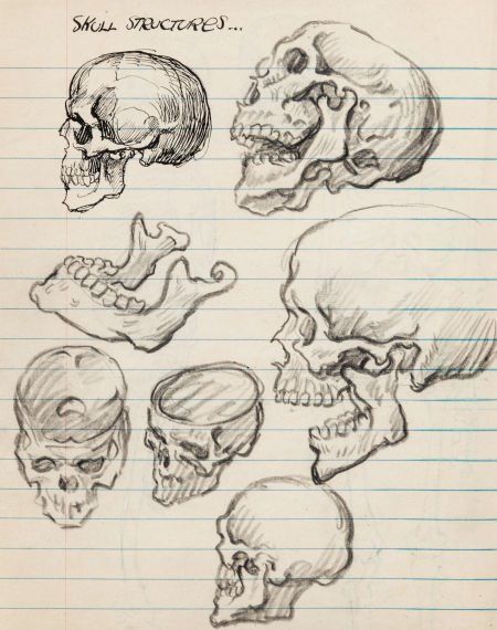 Anatomy Sketchbook, Sketch Anatomy, Skulls And Bones, Human Anatomy Art, Frank Frazetta, Anatomy Sketches, Bristol Board, Arte Sketchbook, Anatomy Drawing