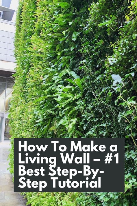 Transform your space with this #1 Best Step-By-Step Tutorial on creating a stunning living wall. Discover how to bring life and nature indoors using five keywords: living wall, tutorial, step-by-step, make, and space. This comprehensive guide provides descriptive details, helping you design and install a breathtaking vertical garden that will become the focal point of any room. IG Photo by: the_gardening_dentist Vertical Garden Bathroom, Garden Plant Wall Ideas, Live Succulent Wall, Living Outdoor Wall, Diy Living Wall Outdoor, How To Make A Green Wall, How To Make A Living Wall, Living Walls Indoor, Moss Wall Outdoor