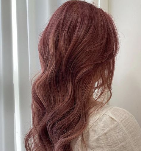 Natural Red Hair With Pink, Rose Colored Hair, Brown Pink Hair, Rose Red Hair, Pink Brown Hair, Brown Hair Korean, Rose Brown Hair, Brown And Pink Hair, Dusty Rose Hair