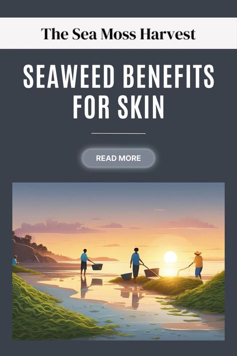 Seaweed Skin Care Advantages | Nutritional Benefits of Seaweed for Skin Seaweed Benefits, Benefits Of Seaweed, Seaweed Skincare, Vitamin And Mineral, Sea Moss, Natural Skincare, Flawless Skin, Facial Masks, Natural Glow