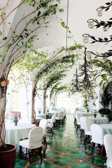 La Sponda restaurant in Positano is draped in climbing vines, arched ceilings and stunning emerald green glazed clay floor tiles. Decoration Restaurant, Indoor Trees, Modern Restaurant, Salou, Restaurant Interior Design, Hospitality Design, The Ceiling, Restaurant Interior, Cafe Design