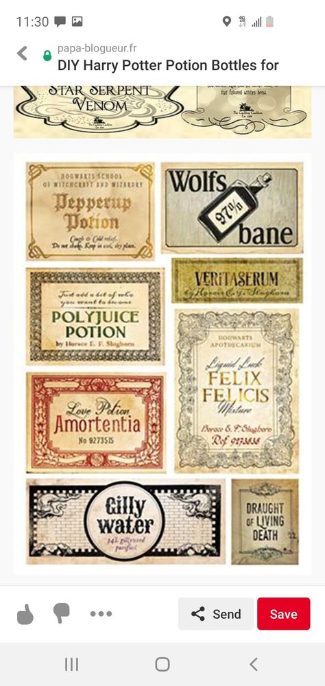 Harry Potter Potion Bottles, Polyjuice Potion, Harry Potter Potions, Character Aesthetics, Harry Potter Diy, Potion Bottle, Birthday Bash, Harry Potter, Birthday