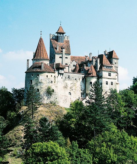 Draculas Castle Romania, Count Dracula Castle, Romanian Castles, Dracula's Castle, Bran Castle, Dracula Castle, Say Nothing, Count Dracula, Medical Tourism