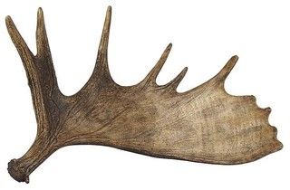 Moose Antler Drawing, Moose Antlers Drawing, Moose Antler Tattoo, Moose Antler Decor, Moose Horns, Antler Drawing, Antlers Drawing, Dear Antlers, Deer Pics