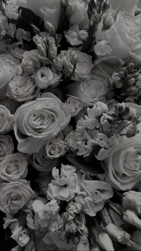 Dark Grey Wallpaper, Grey Wallpaper Iphone, Goth Wallpaper, Black And White Picture Wall, Dark Flowers, Gray Aesthetic, Iphone Wallpaper Themes, Grey Flowers, Dark Wallpaper Iphone