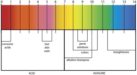 Ph Scale, Hair Science, Hairdressing Training, Beauty School, Permed Hairstyles, Beauty Business, Health Professionals, Cosmetology, Business Website