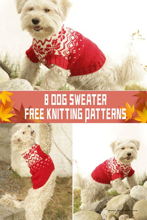 Each of these eight free dog sweater knitting patterns offers the chance to craft with love and intention. #freedogsweaterpatterns Dog Coats Patterns Free Knitting, Knitted Dog Sweater Pattern Free, Free Dog Sweater Knitting Patterns, Dog Sweater Knitting Patterns, Dog Jumper Knitting Pattern, Knitting Patterns For Dogs, Knitted Dog Sweater Pattern, Dog Sweater Crochet, Knitting Patterns Free Dog