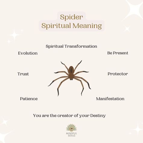 Spider Spiritual Meaning, Spirit Animal Meaning, Animal Meanings, Spirit Signs, Spiritual Psychology, Spiritual Animal, Animal Spirit Guides, Animal Symbolism, Spiritual Transformation