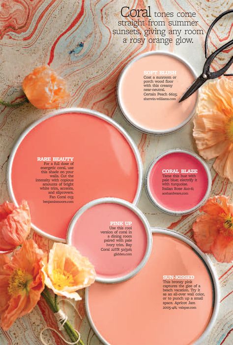 Coral Paint, Royal Nursery, Shades Of Coral, Coral Accents, Color Personality, Living Coral, Paint Shades, Garden Features, Light Peach