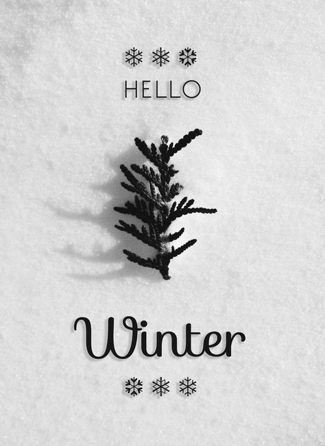 Hello Winter by ponytailsandcapris - HITRECORD Winter Banner, Winter City, I Love Winter, Hello Winter, Winter Wallpaper, Winter Design, Winter Beauty, Super Quotes, Winter Wonder