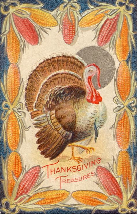 Vintage Thanksgiving Greetings, Vintage Thanksgiving Cards, Tom Turkey, Thanksgiving Pictures, Thanksgiving Images, Happy Turkey Day, Thanksgiving Art, Thanksgiving Card, Harvest Thanksgiving