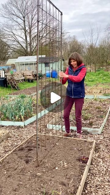 Vera Greutink | Edible Garden on Instagram: "Yesterday felt like the proper start of the gardening season! I put up my trellis and planted out presown snow peas. I also sowed some spinach and lettuce along the trellis to make use of the whole bed and the shelter provided by the row cover. It protects the plants both from cold and wind and pigeons. And now I’ll just have to hope for the spring to properly set in! Have you been able to do some gardening this weekend?" Wind Garden, Pea Trellis, Crop Ideas, Stone Edging, Crop Protection, Row Covers, Backyard Plants, Vegetable Garden Diy, Snow Peas