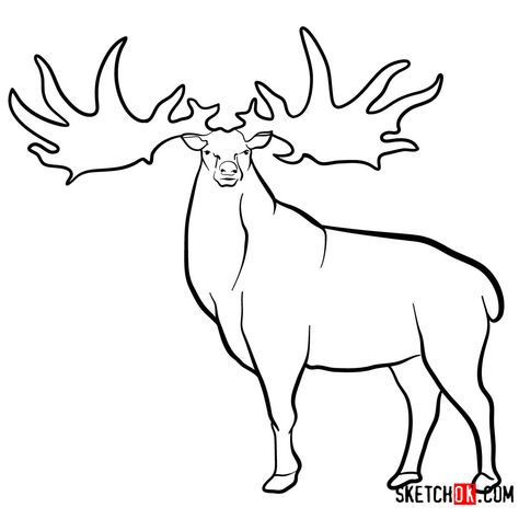 How to draw an Irish elk | Extinct Animals Elk Drawing Easy, Extinct Animals Drawing, Elk Drawing, Irish Elk, Fruit Coloring, Easy Drawing Guides, Animals Drawing, Fruit Coloring Pages, Drawing Guides