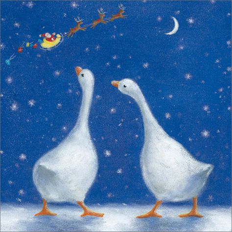 Christmas Duck Drawing, Winter Chickens, Countdown Till Christmas, Chickens In The Winter, Painted Christmas Cards, Painting Shutters, Christmas Goose, Duck Drawing, Christmas Duck