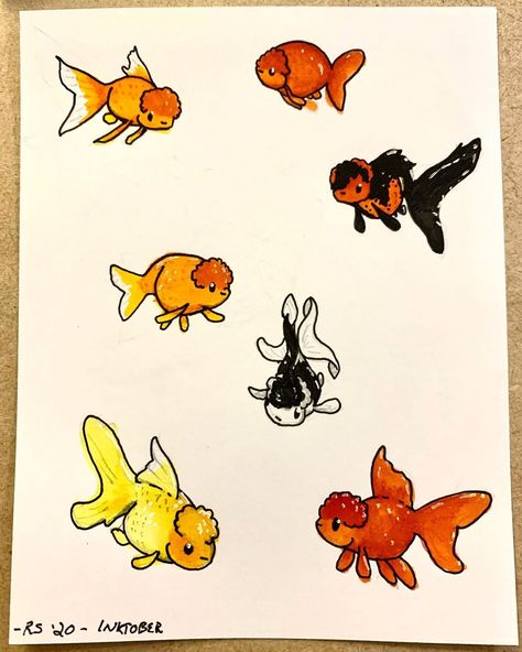 Goldfish Cartoon Drawing, Goldfish Tank Drawing, Goldfish Drawing Reference, Cartoon Goldfish Tattoo, Oranda Goldfish Drawing, Fancy Goldfish Drawing, Cute Goldfish Drawing, Goldfish Tattoo Simple, Goldfish Doodle