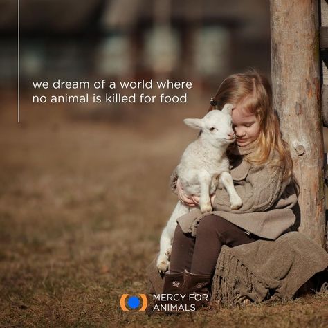 Let's build that world together. 💙⠀ .⠀ .⠀ .⠀ #govegan #vegansofig #mercyforanimals #loveanimals #babyanimals #lovemydog #kindness… Vegan People, Mercy For Animals, Vegan Shirts, Animal Liberation, Animal Rights Activist, Lessons Learned In Life, Good Mental Health, Vegan Life, Animal Welfare