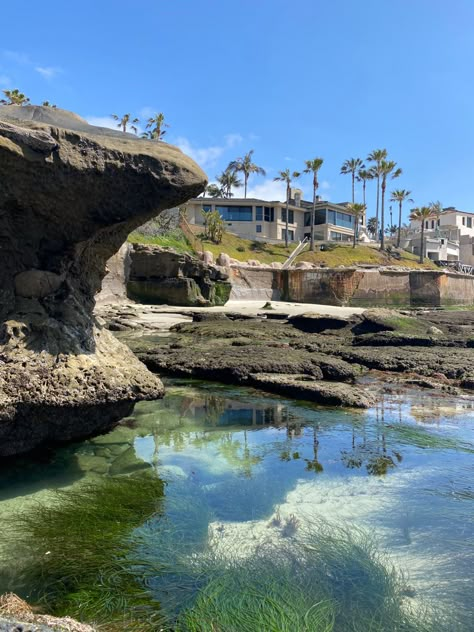 Tidepools near La Jolla La Jolla California Aesthetic, California Aesthetic, La Jolla California, San Diego Living, Tide Pools, California Dreaming, La Jolla, Coastal Homes, Wanderlust Travel