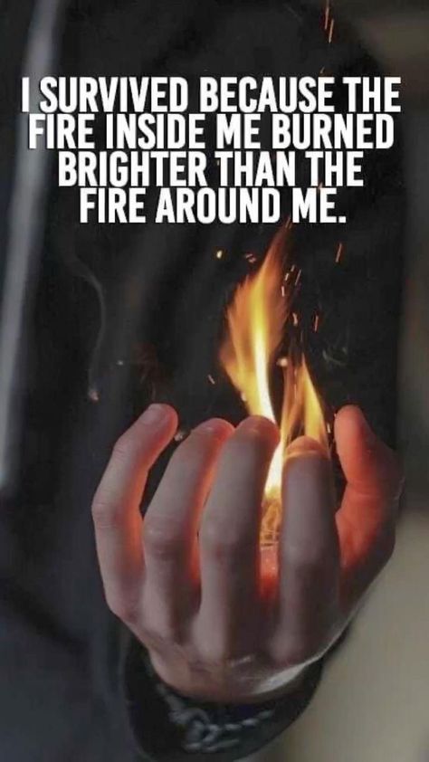 Quotes About Attitude, Fighter Quotes, December Quotes, Lion Quotes, Deep Meaningful Quotes, Fire Inside, Joker Quotes, Warrior Quotes, Badass Quotes