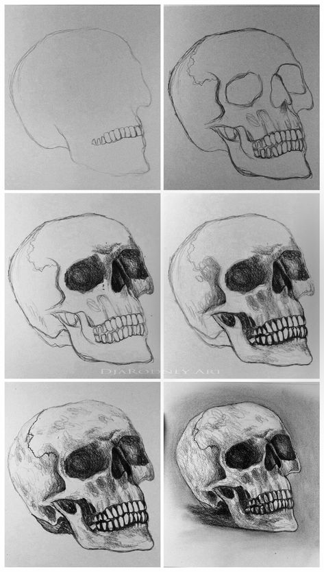 How To Skull Drawing, Skeleton Art Step By Step, Shaded Skull Drawing, Drawing Ideas Skull Sketch, Skull Drawing Reference Sketch, Skull Art Tutorial, Draw A Skull Step By Step, How To Draw A Human Skull, Sketch Of Skull