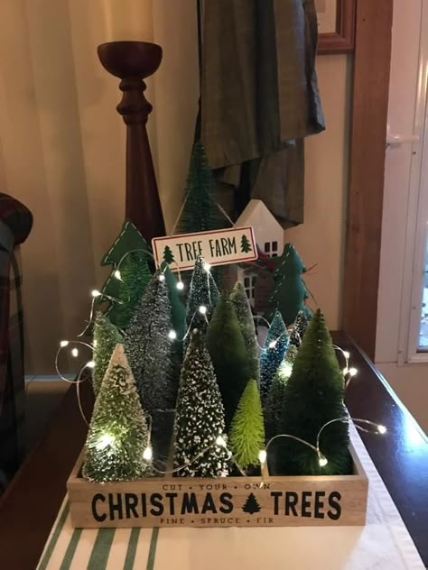 Tabletop Christmas Tree Collection Display, Table Top Christmas Tree Ideas Display, Target Bullseye, Christmas Tree Collection, Tree Box, Tabletop Christmas Tree, Winter Ideas, Merry Christmas To All, Tree Farm