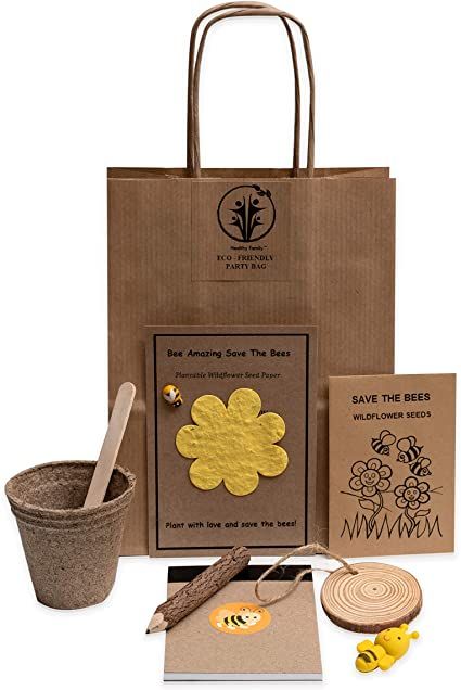 Eco Friendly Birthday Party, Party Bag Ideas, Birthday Party Bags, Wildflower Seed Paper, Goodie Bags For Kids, Thank You Bags, Bags For Kids, Bee Party, Woodland Friends